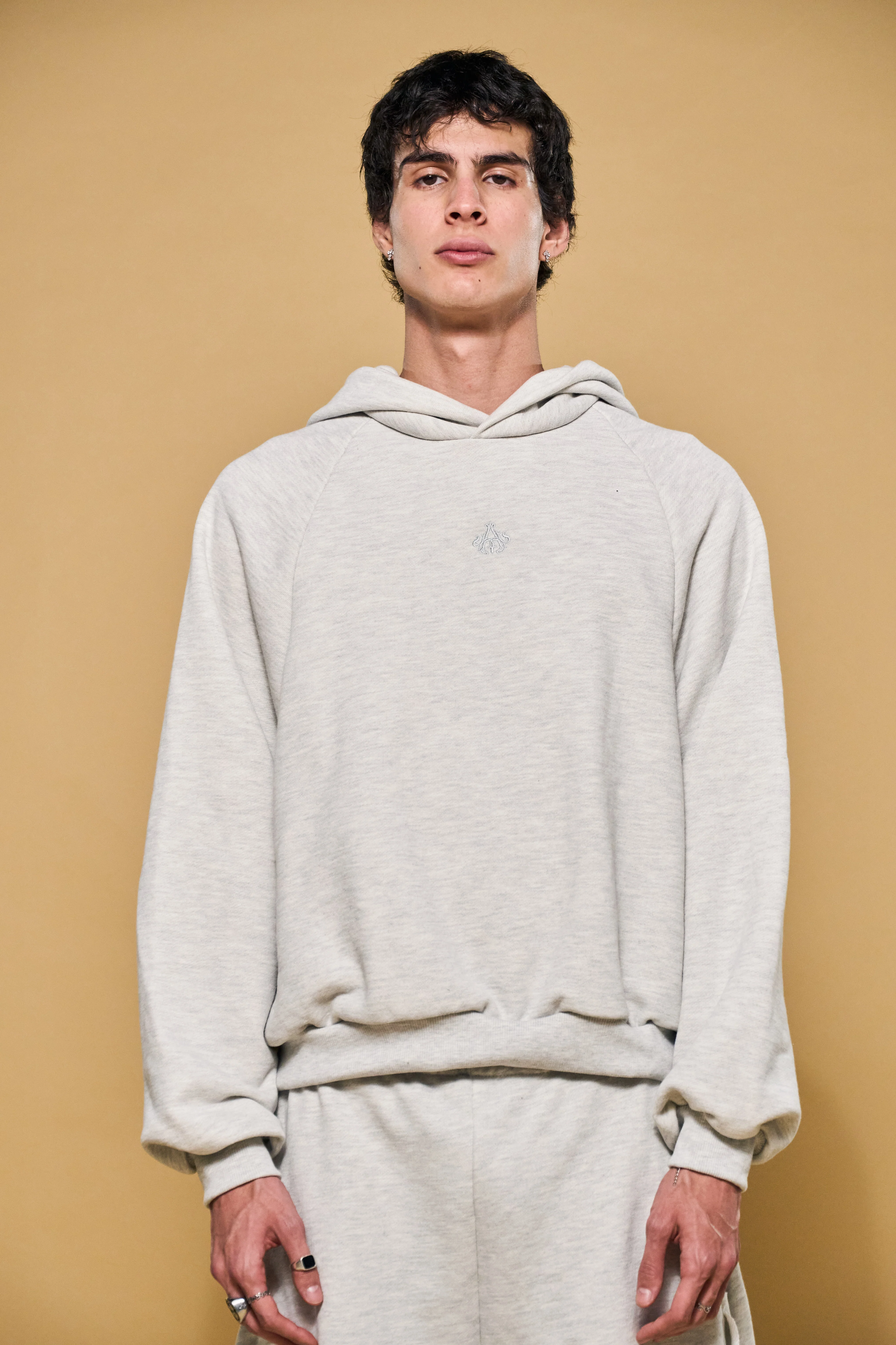 Basics V3 - Thepra V3 Hoodie - Image 9